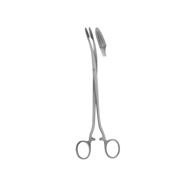 Curved Forceps AM_01-454 Curved 21 cm