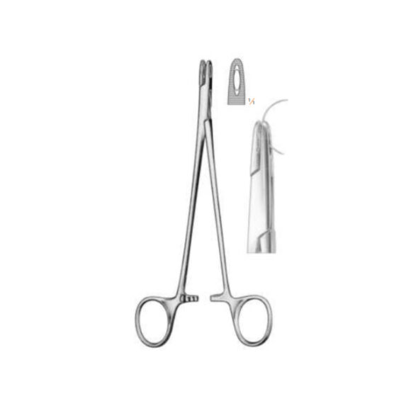 Curved Forceps AM_01-462 Adson 17.5 cm